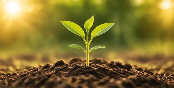 Growth Support
